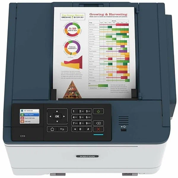 Купить Офисный принтер Xerox Phaser C310 (C310V_DNI) в Москве и с доставкой по России по низкой цене